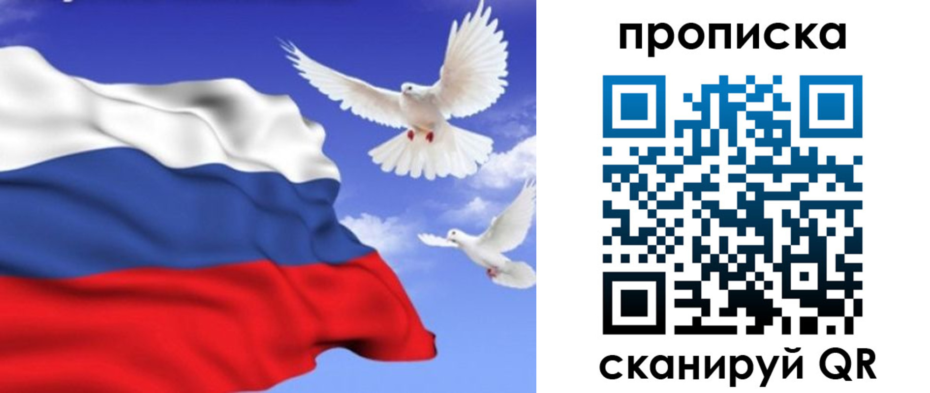 временная регистрация гарантия в Богородске
